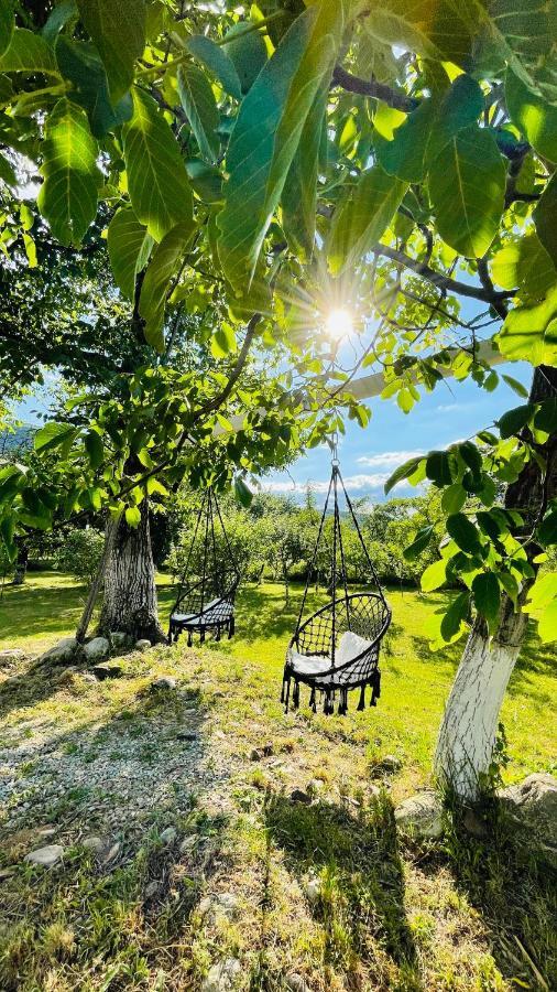 Green Garden Glamping Retezat Balan  Экстерьер фото