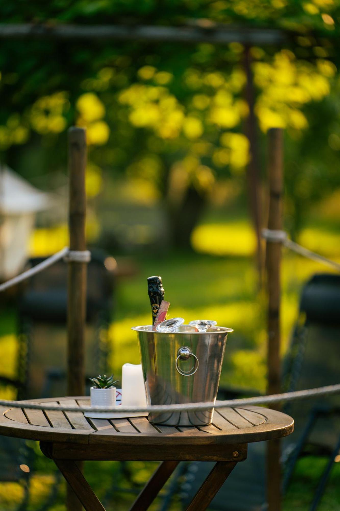 Green Garden Glamping Retezat Balan  Экстерьер фото