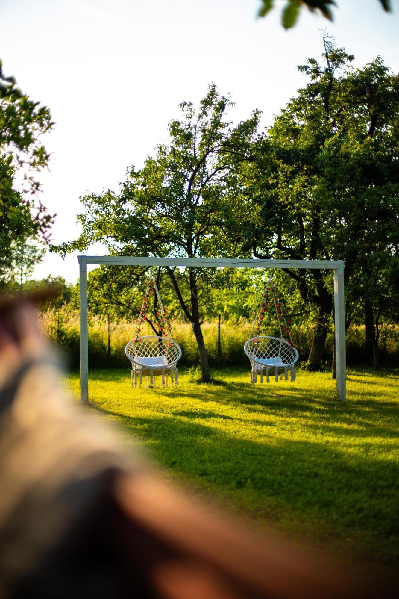 Green Garden Glamping Retezat Balan  Экстерьер фото